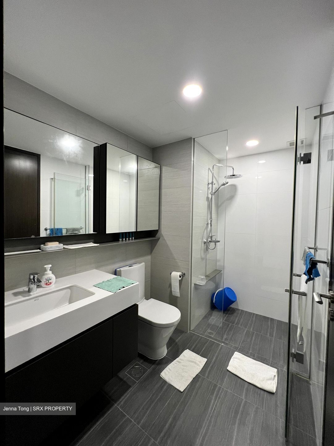 Botanique At Bartley (D19), Condominium #345875811